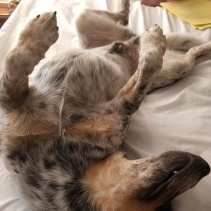 Meet your Posher, Vera